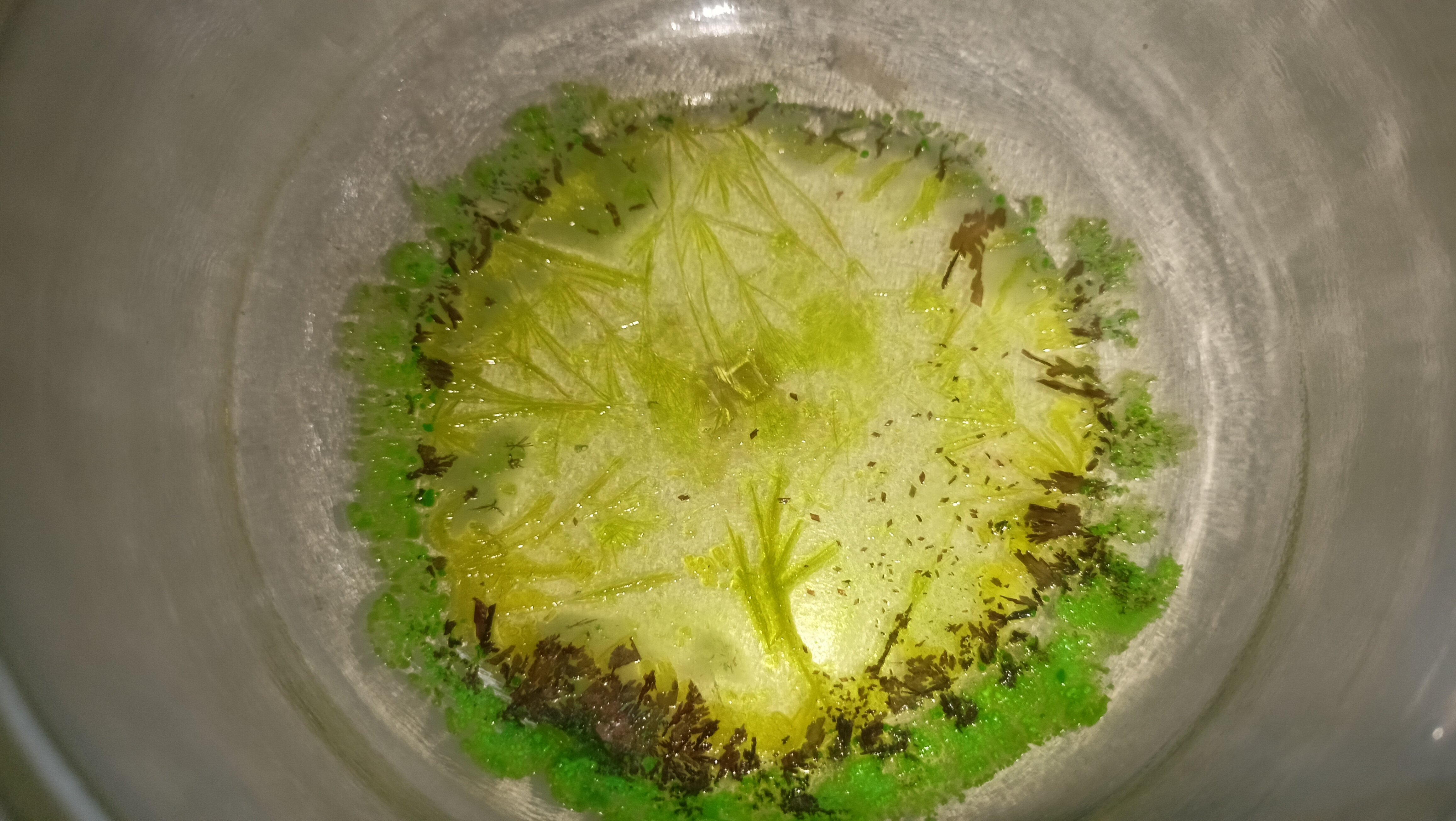 Yellow and Green Crystals on a Dish